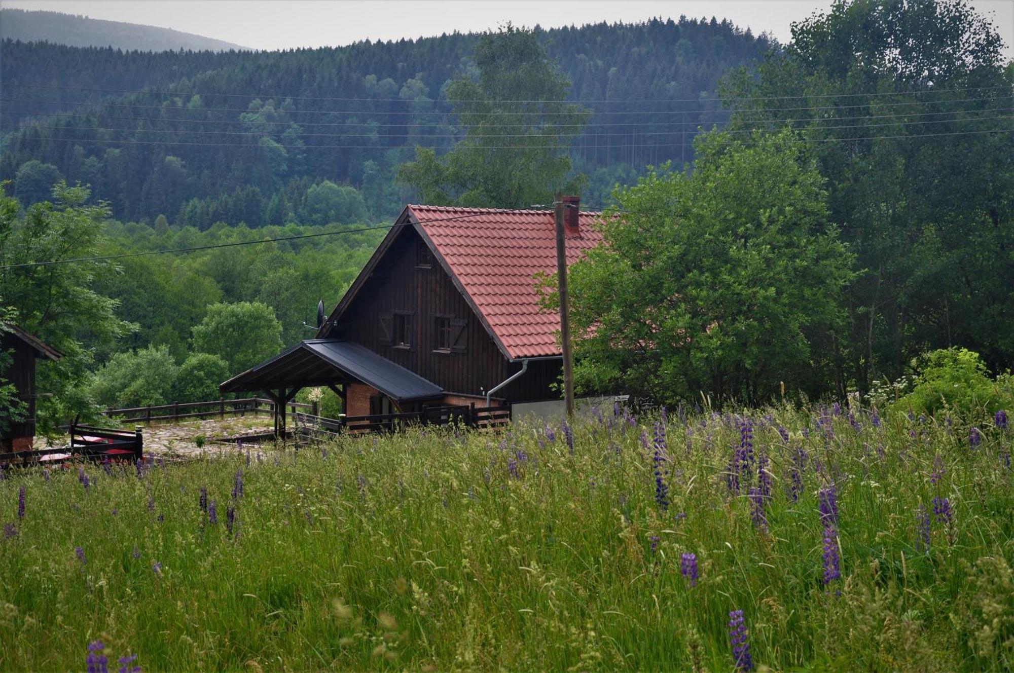 Chata Nad Dzika Orlica Z Jacuzzi Poniatow Exterior photo