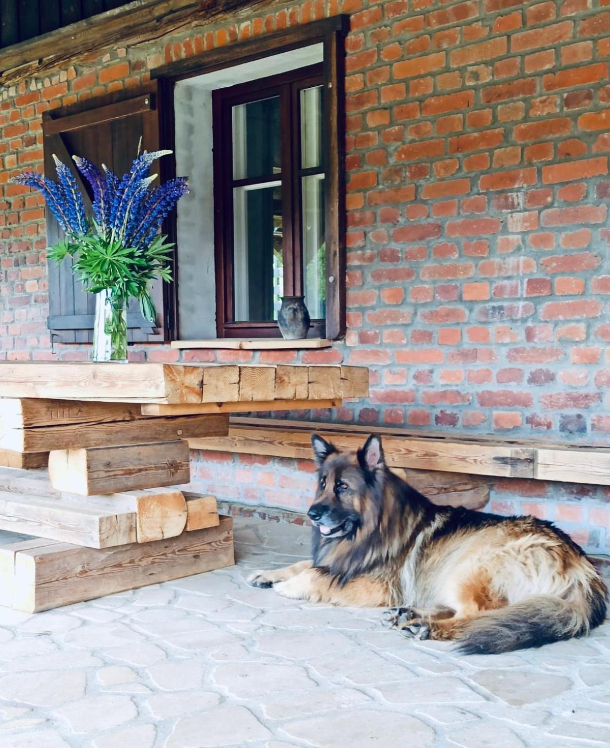 Chata Nad Dzika Orlica Z Jacuzzi Poniatow Exterior photo